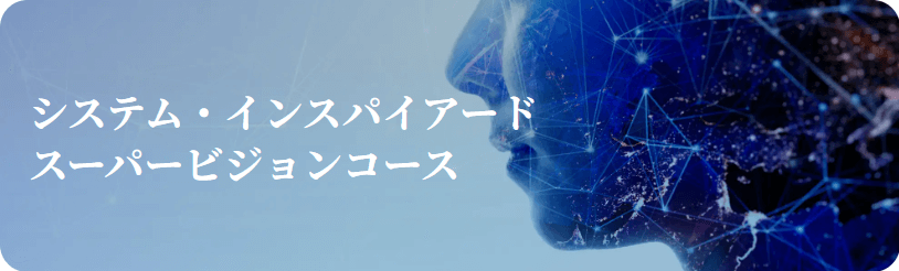 システム・インスパイアード スーパービジョン